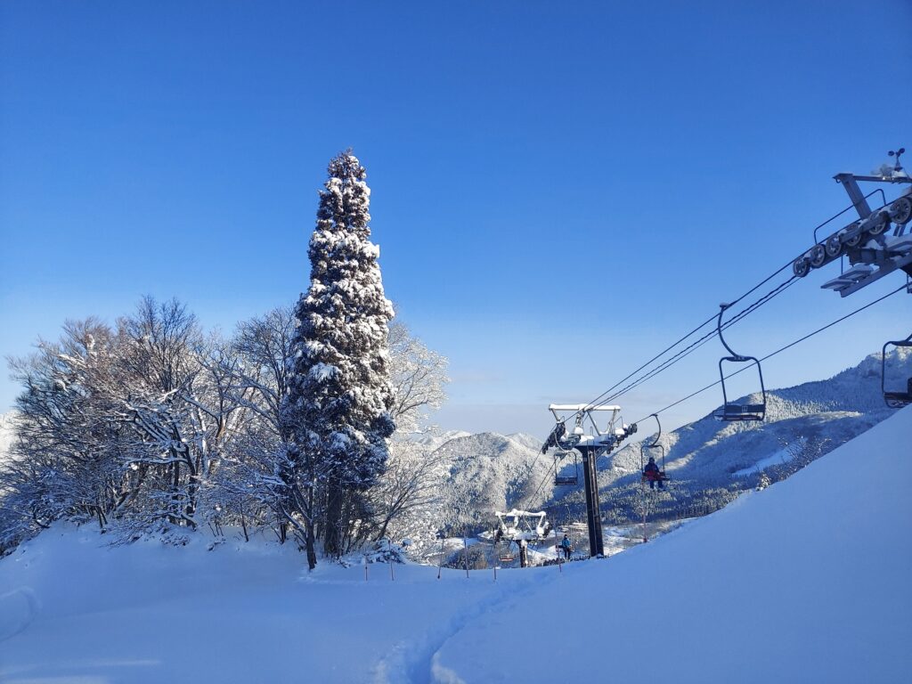 新雪のゲレンデ